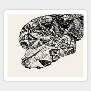 Gaboon viper Sticker